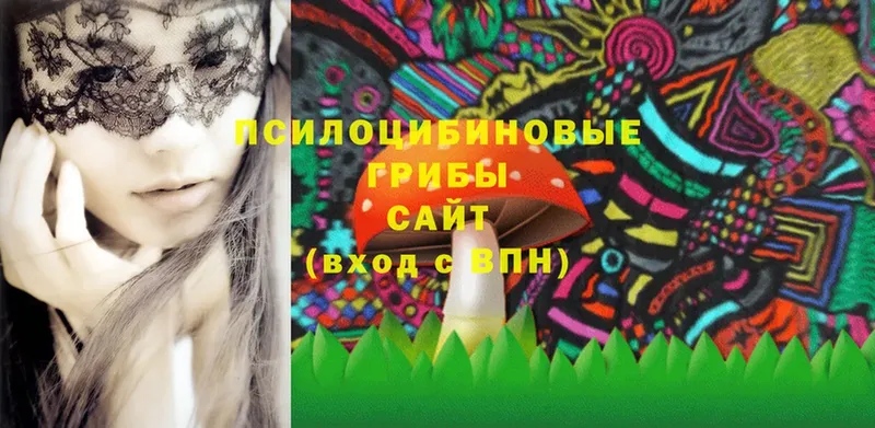 Галлюциногенные грибы MAGIC MUSHROOMS  Красавино 